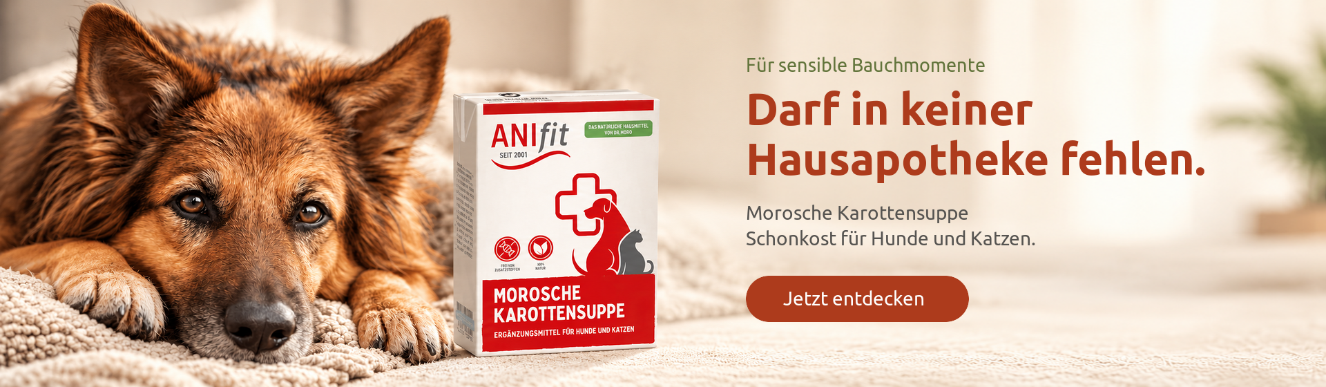 Morosche Karottensuppe